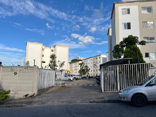 Apartamento - Venda, SANTA AMELIA, BELO HORIZONTE, MG